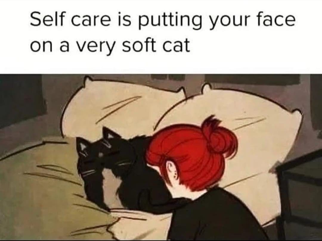 user avatar image for Britt