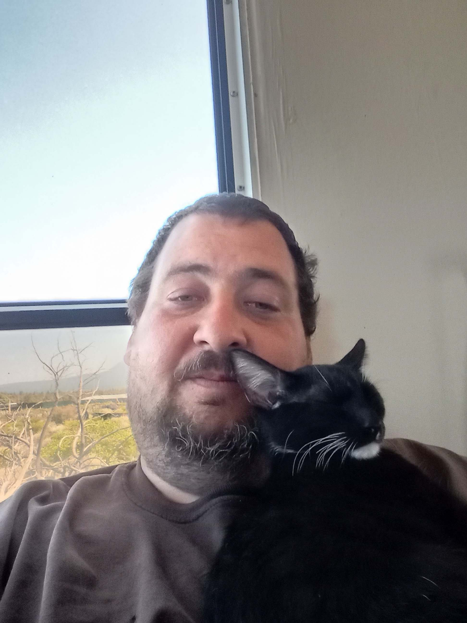 user avatar image for Brian Ireland