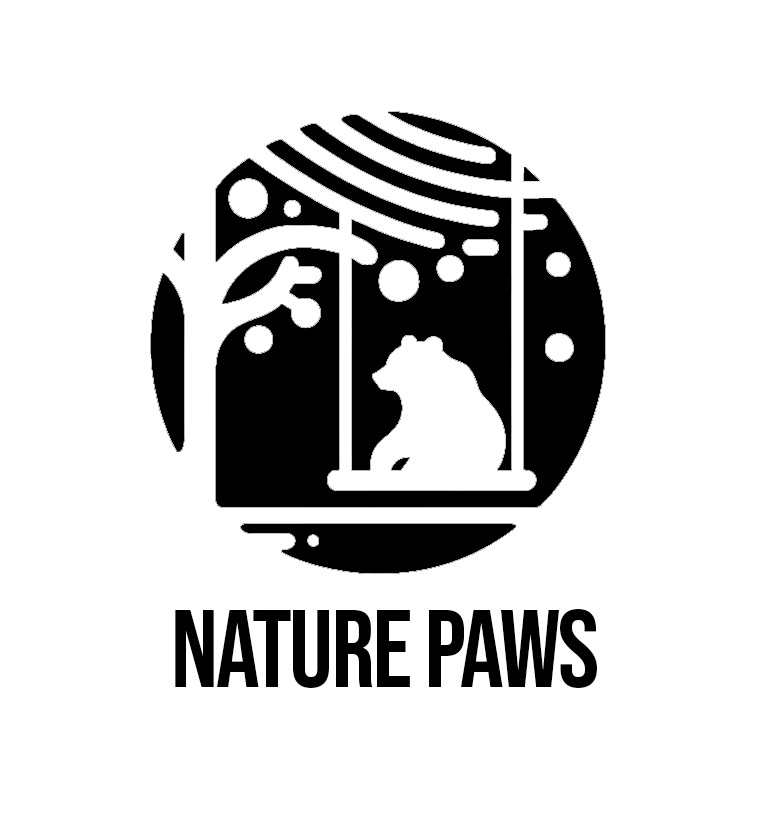 user avatar image for Nathan