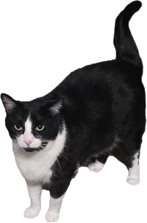 user avatar image for David Hunter