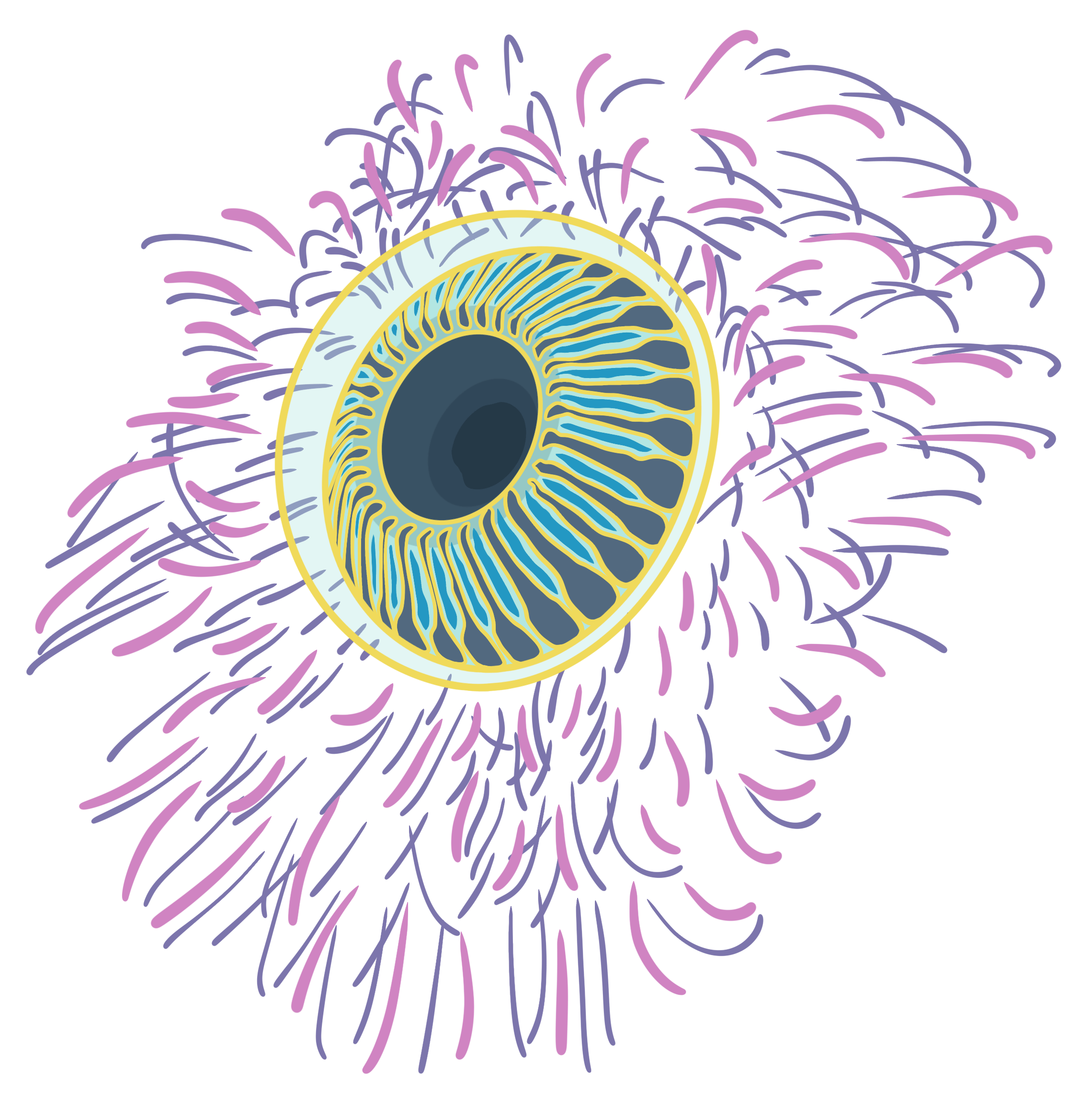 4" Firework Jelly Window Cling Sticker	