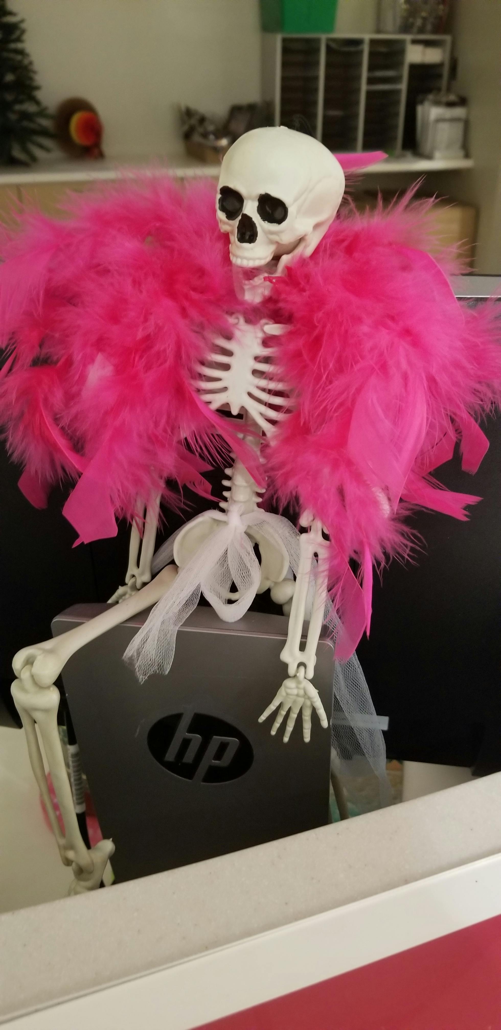 user avatar image for Bianca