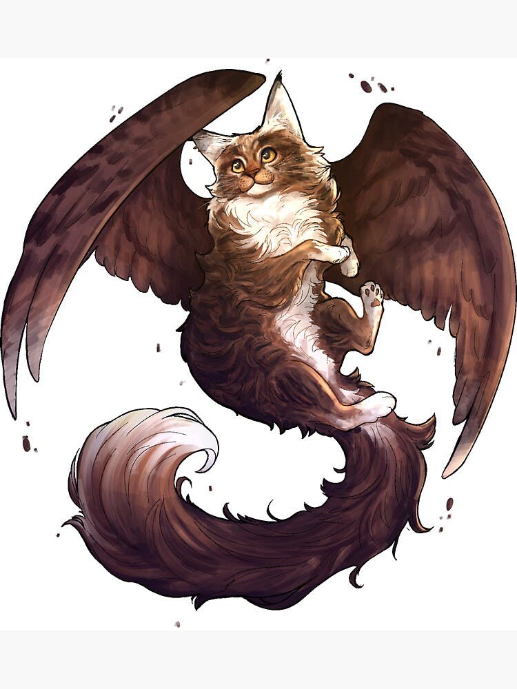 user avatar image for Dorn Koon