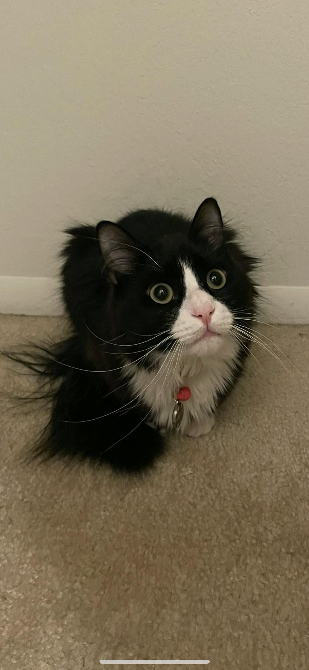 user avatar image for Jaclyn Coyner