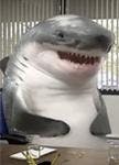 user avatar image for Mr. Shark
