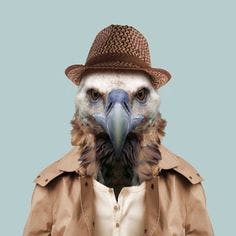 user avatar image for Birdbath