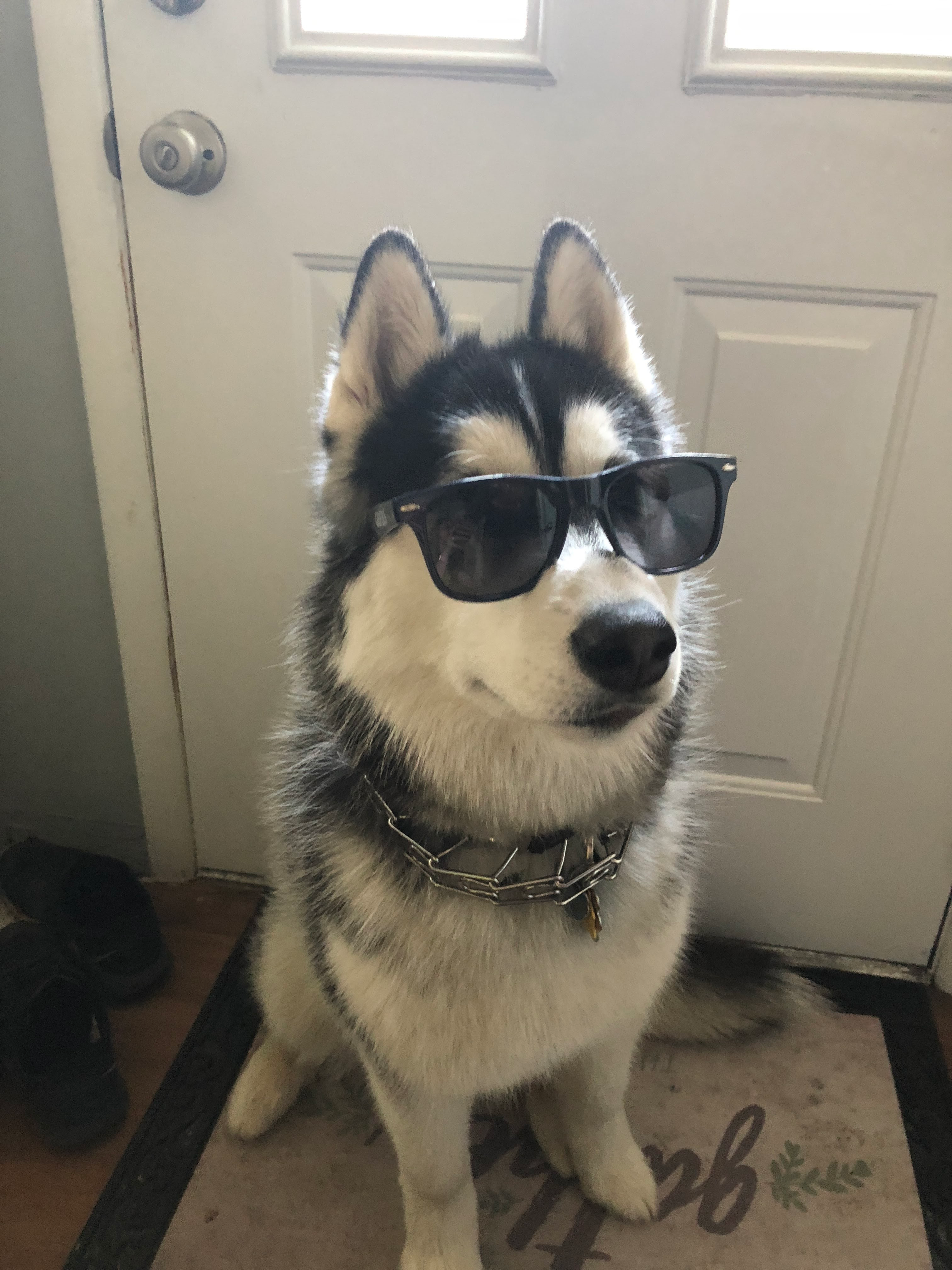 user avatar image for Austin