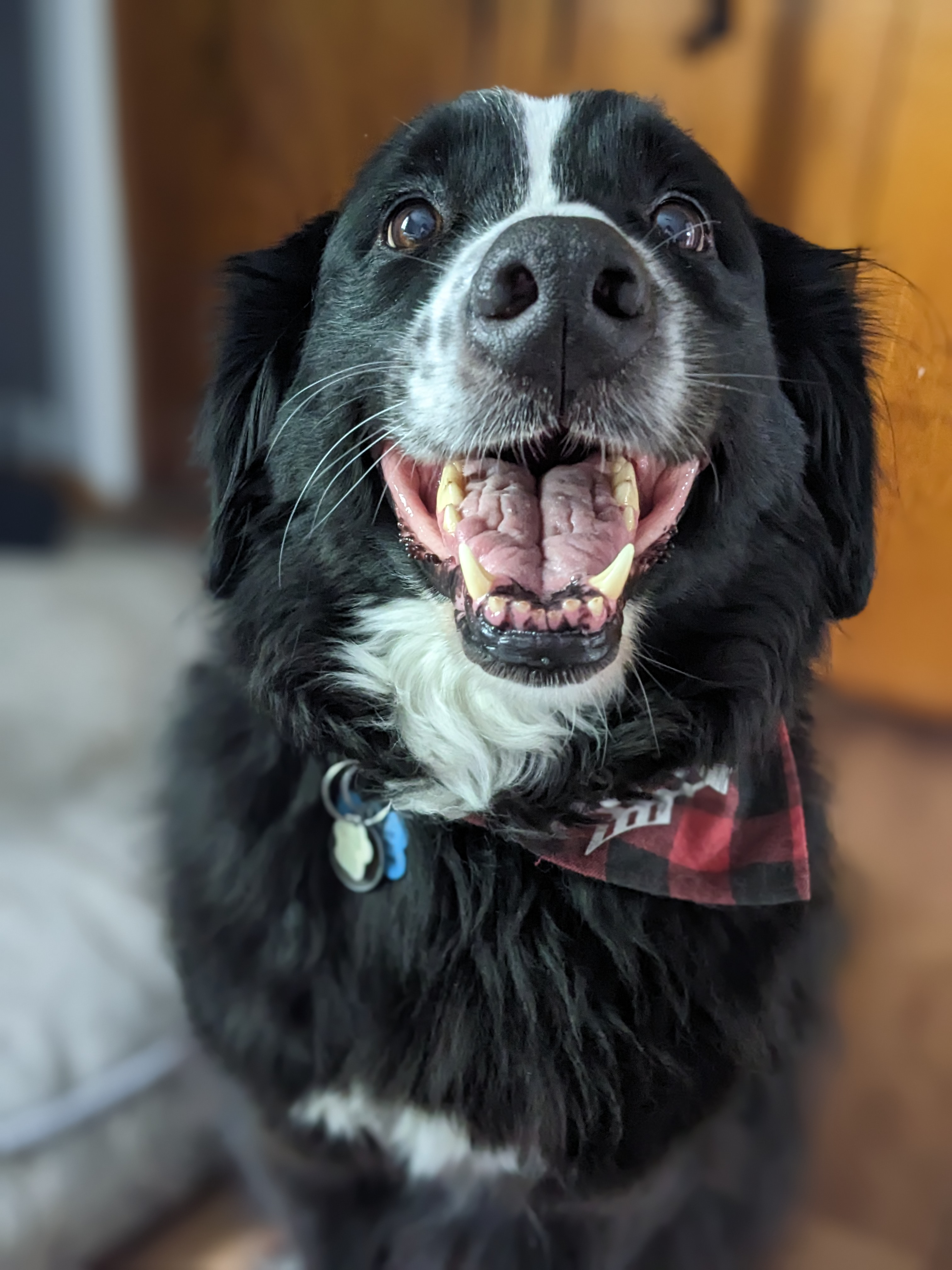 user avatar image for Gaël 