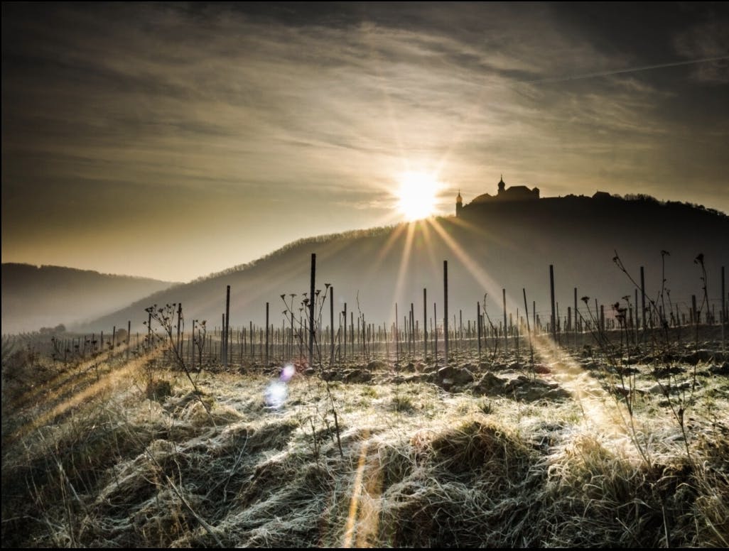 user avatar image for Martin