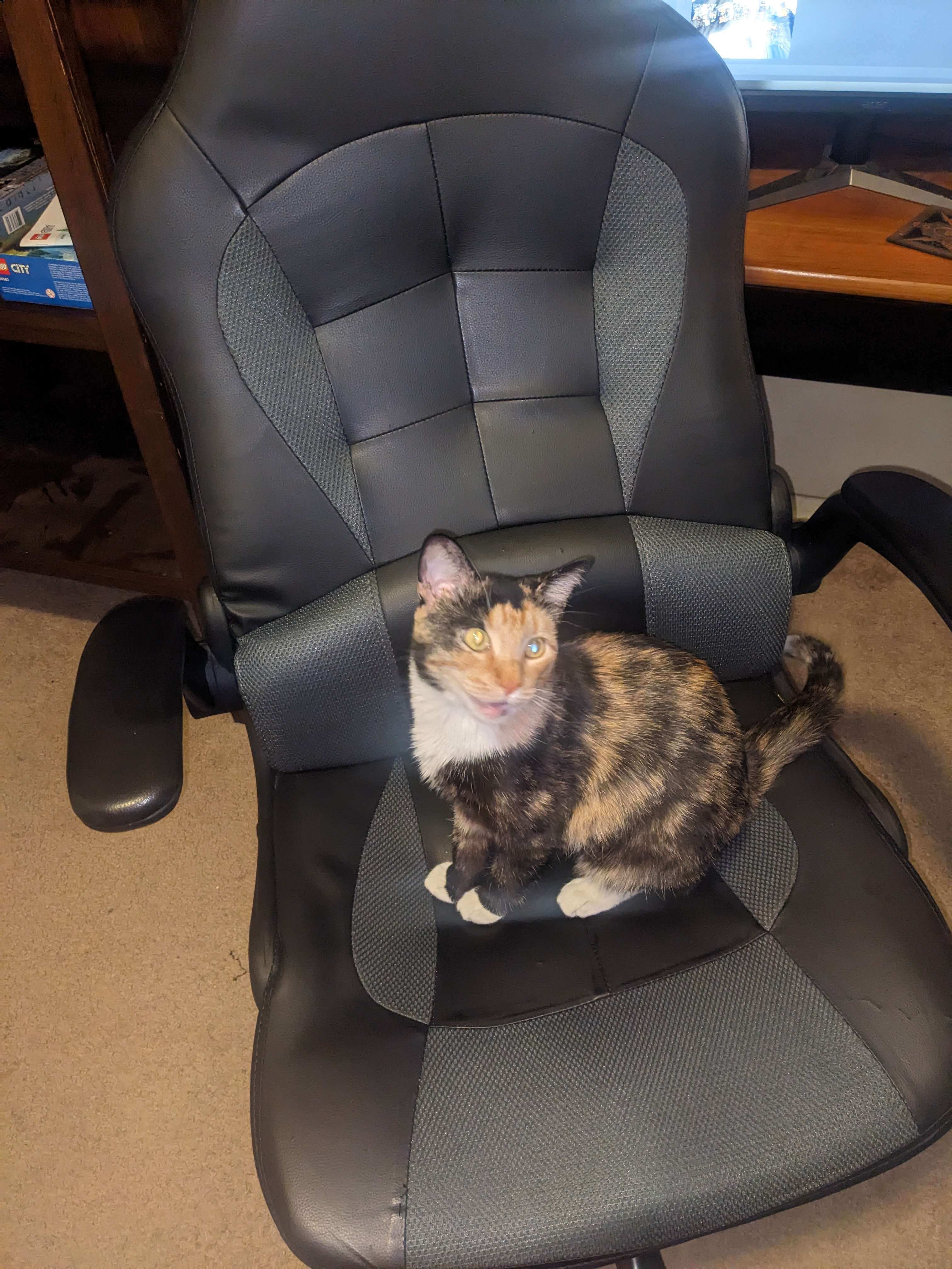 user avatar image for cammron