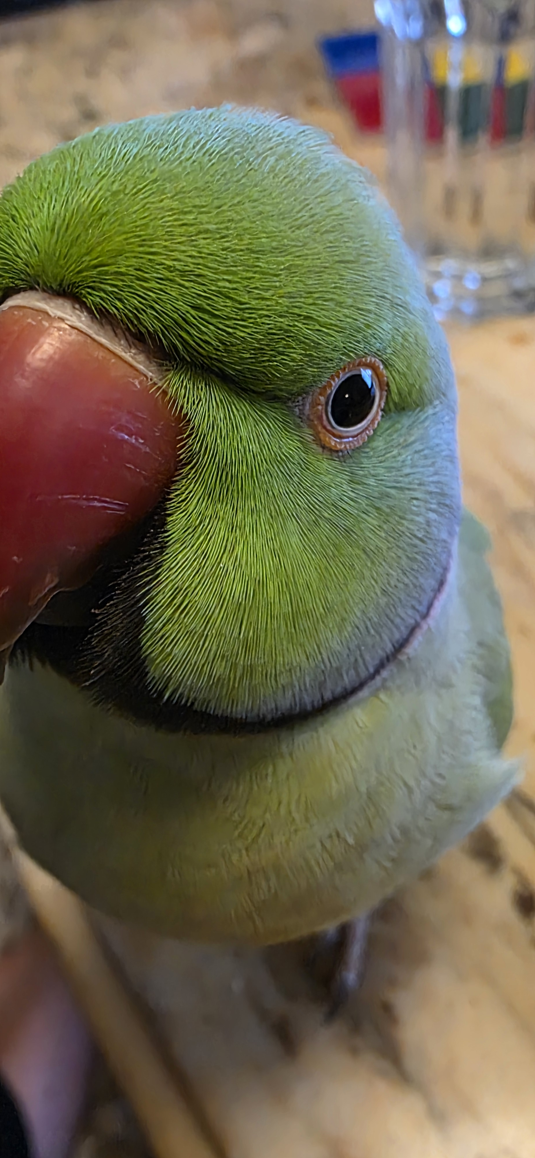 user avatar image for Eric