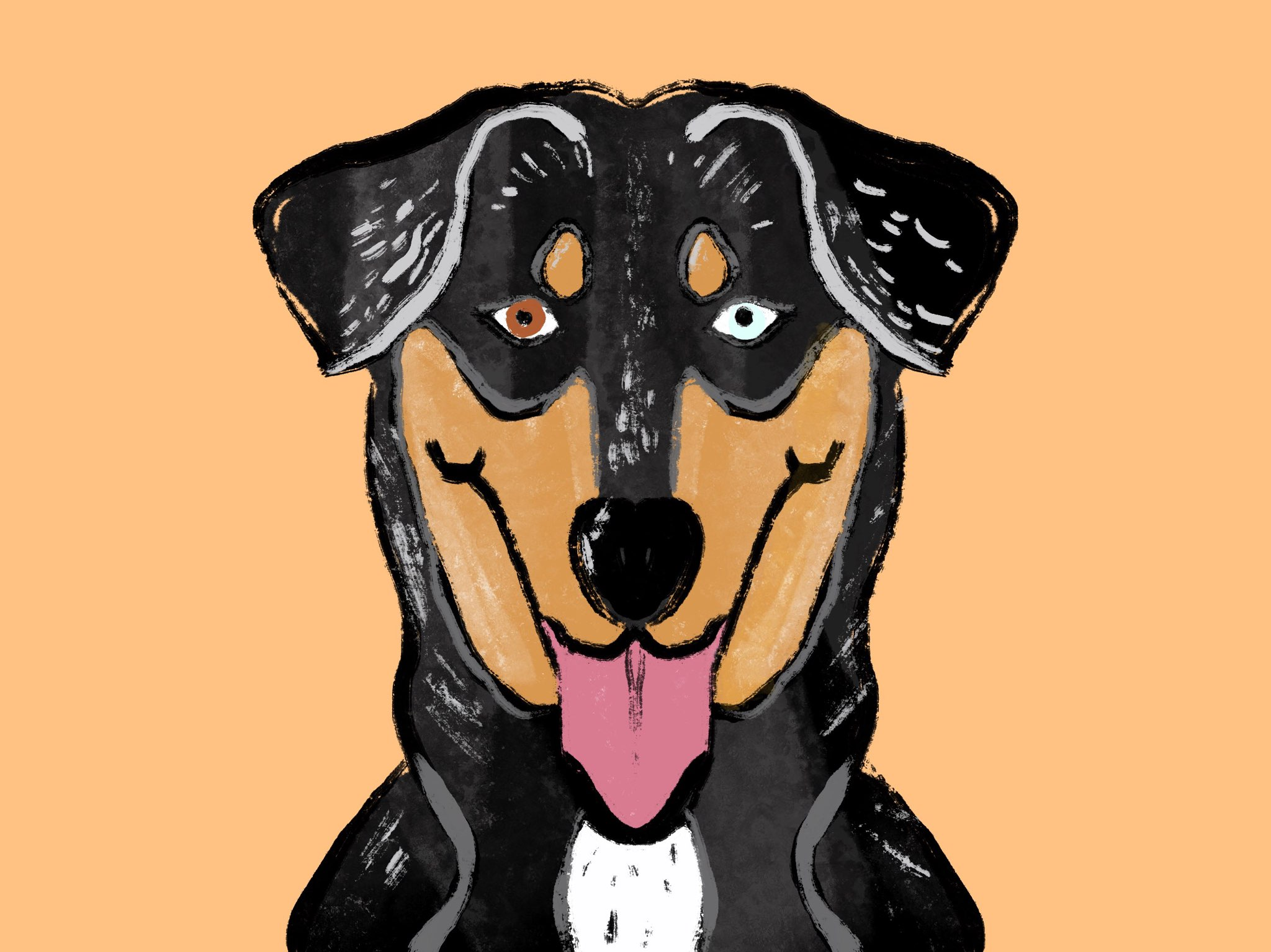 user avatar image for Drew