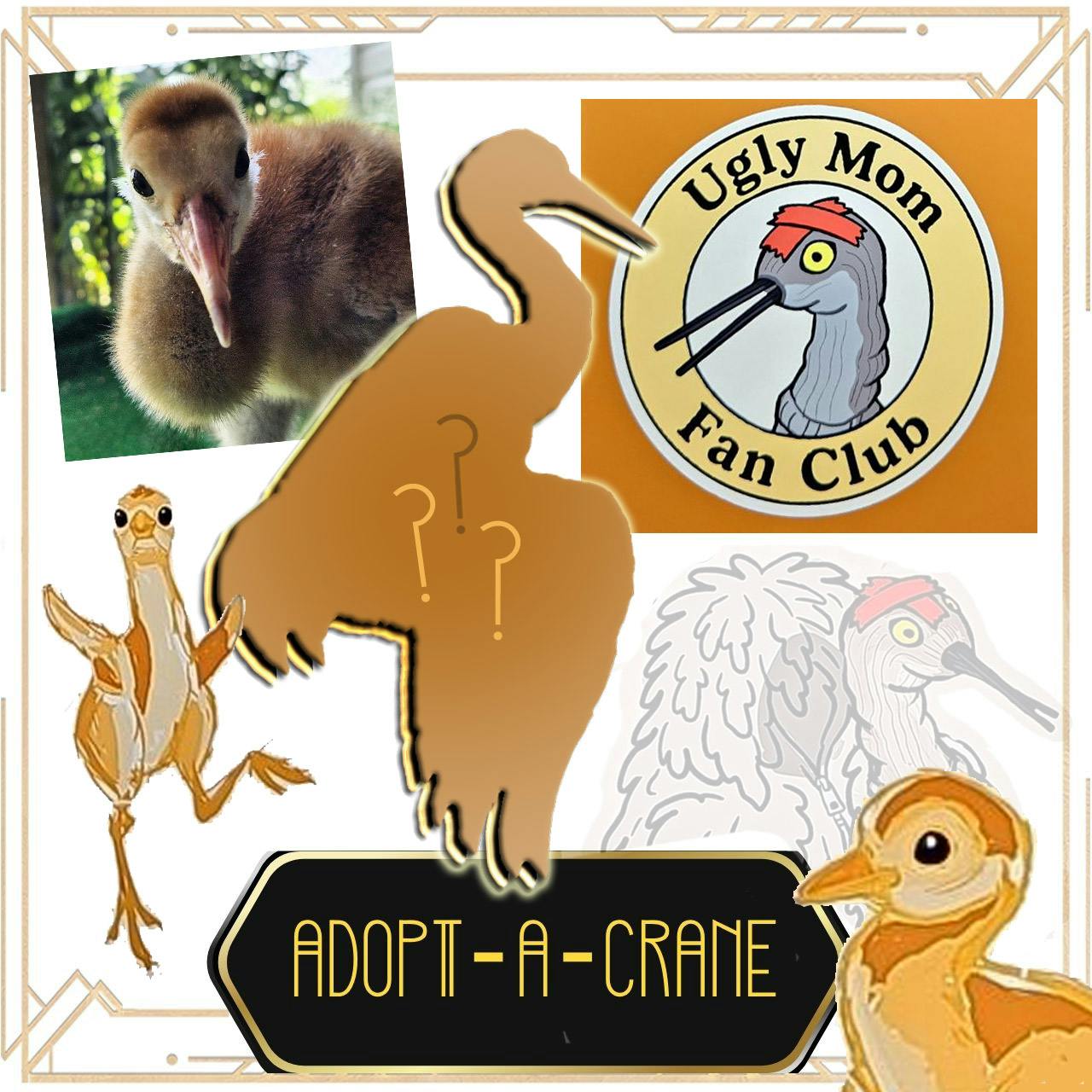 Adopt-A-Crane