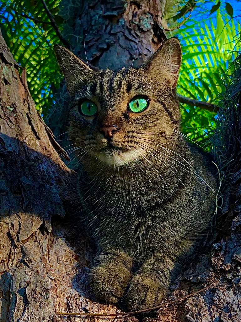 user avatar image for Wing Slayer