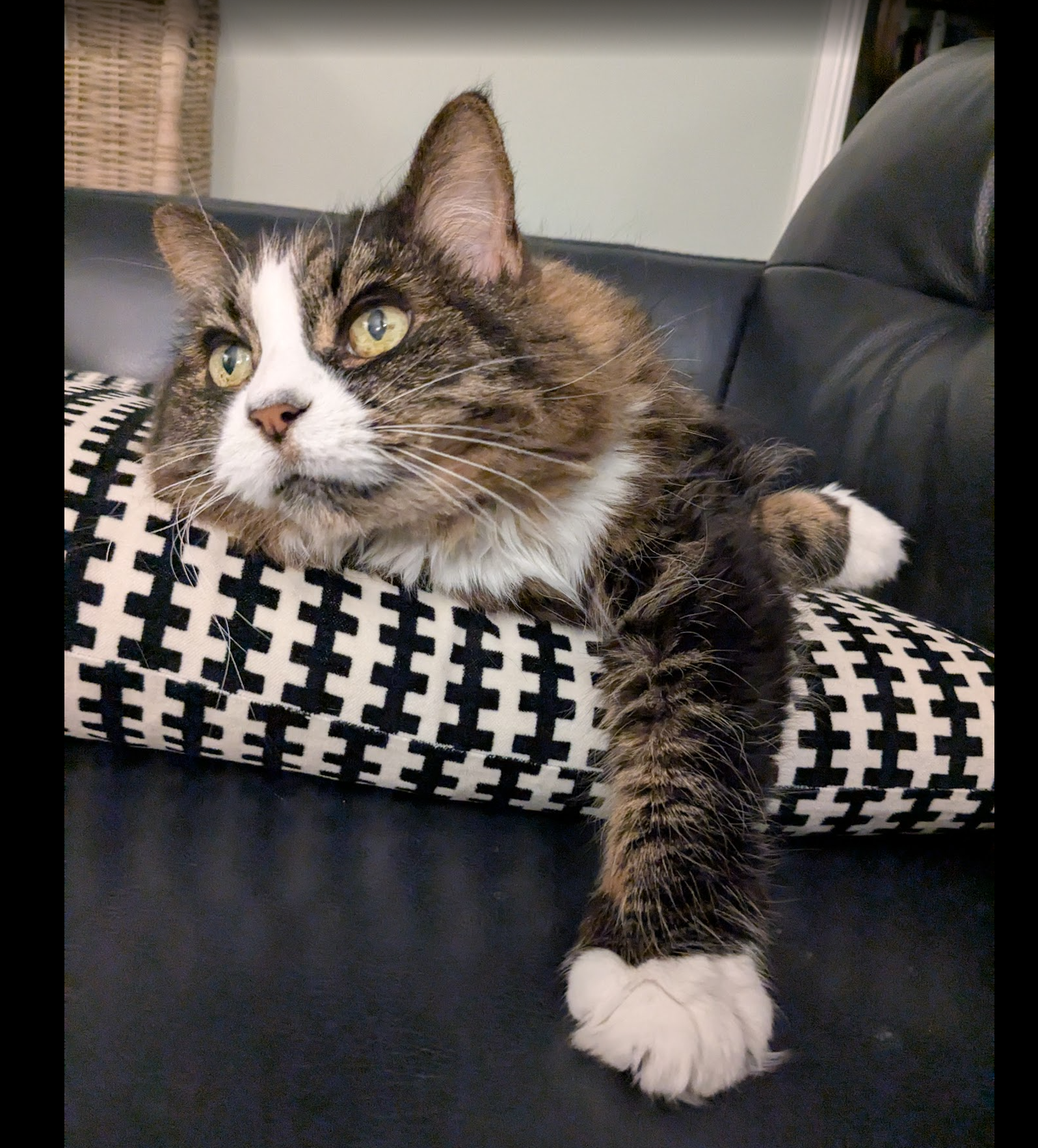 user avatar image for Robin