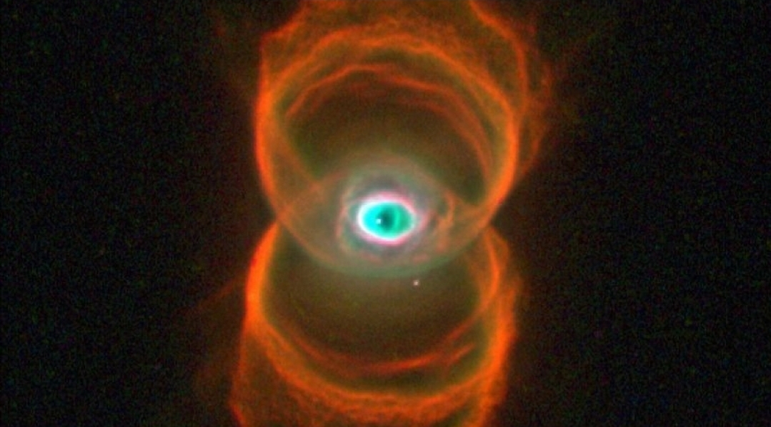 user avatar image for Animonaut 