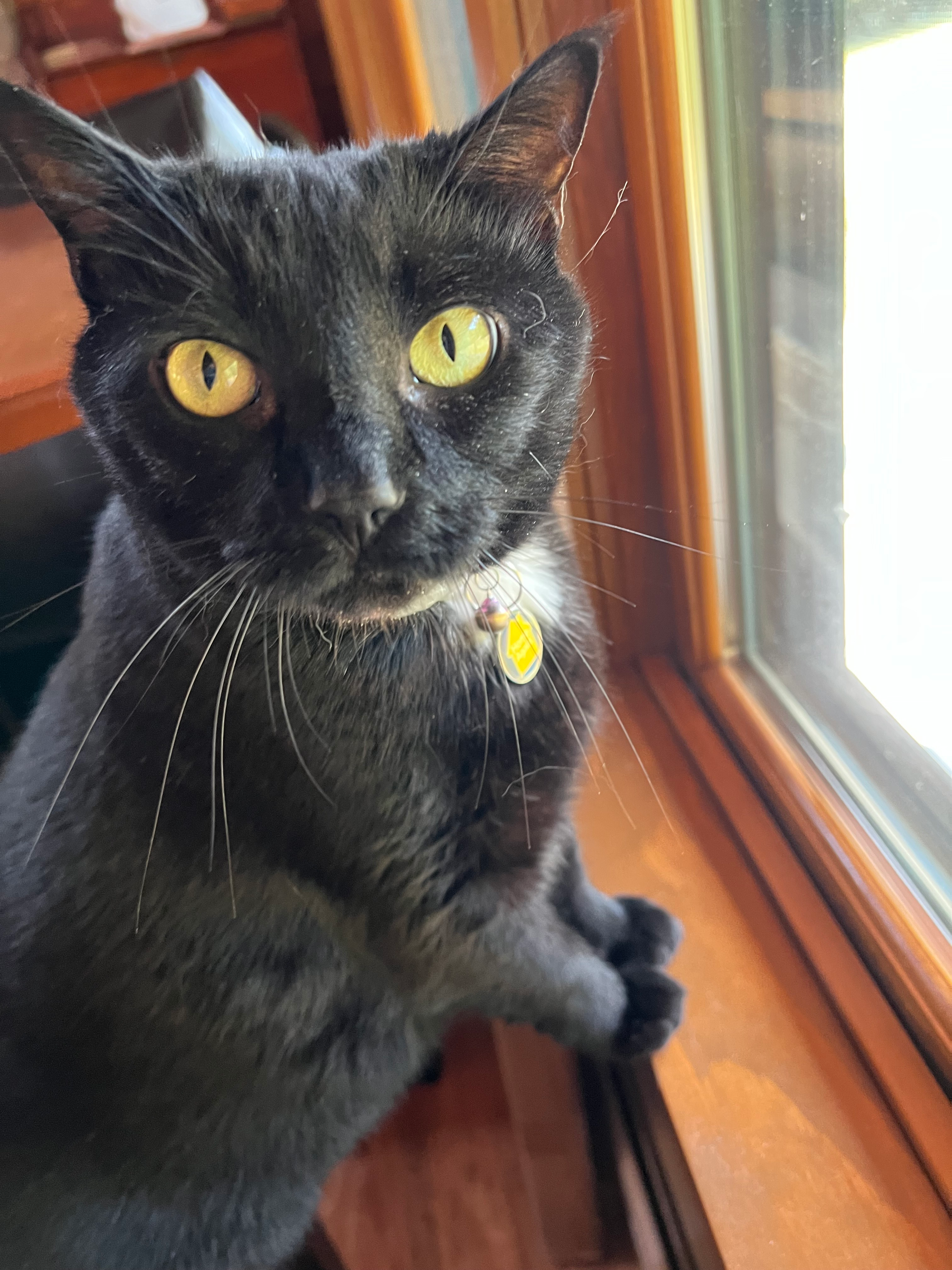 user avatar image for Bonnie Wilson