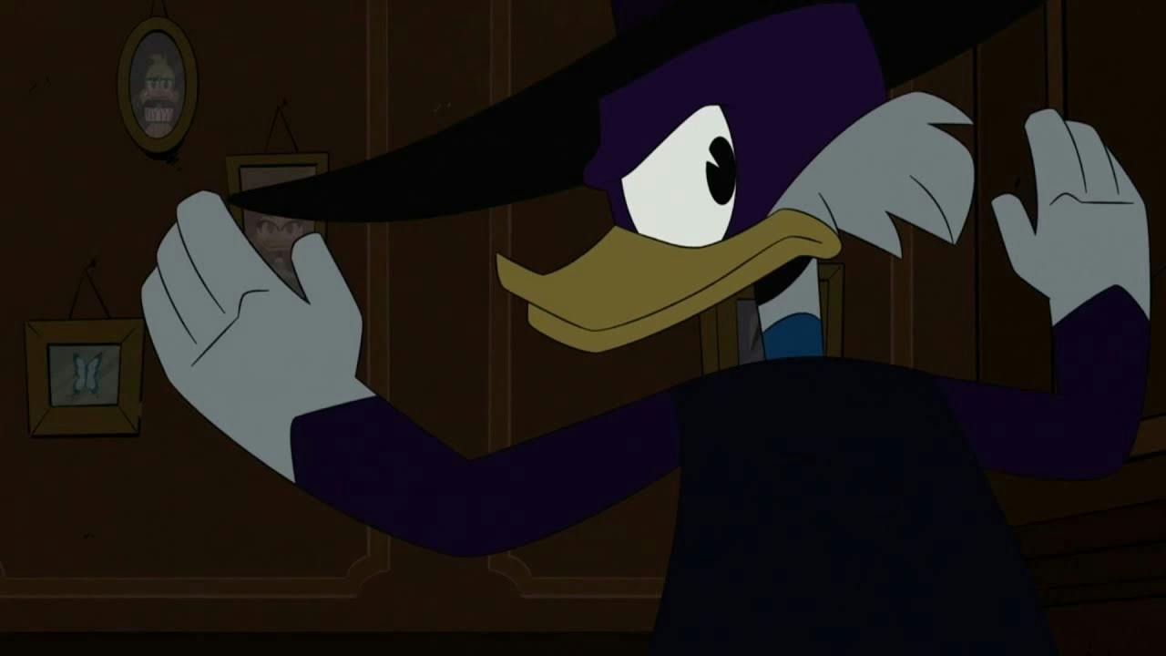 user avatar image for Feebis