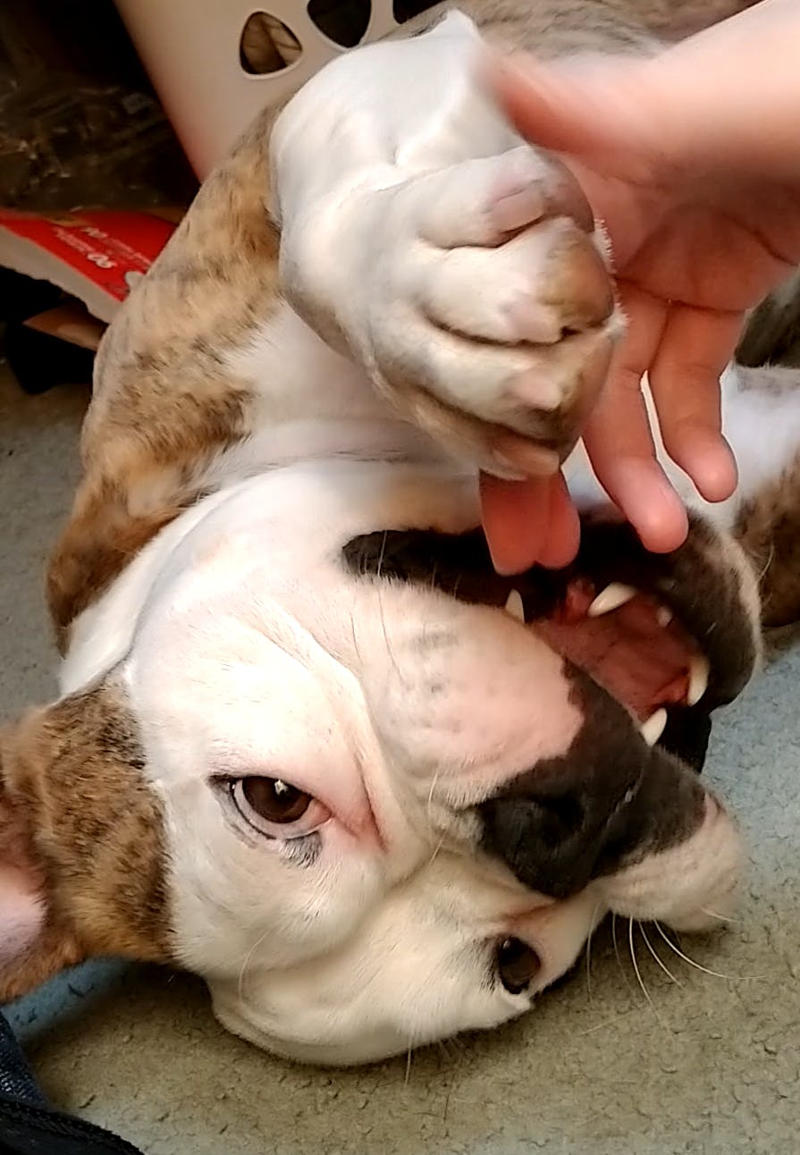 user avatar image for Matty