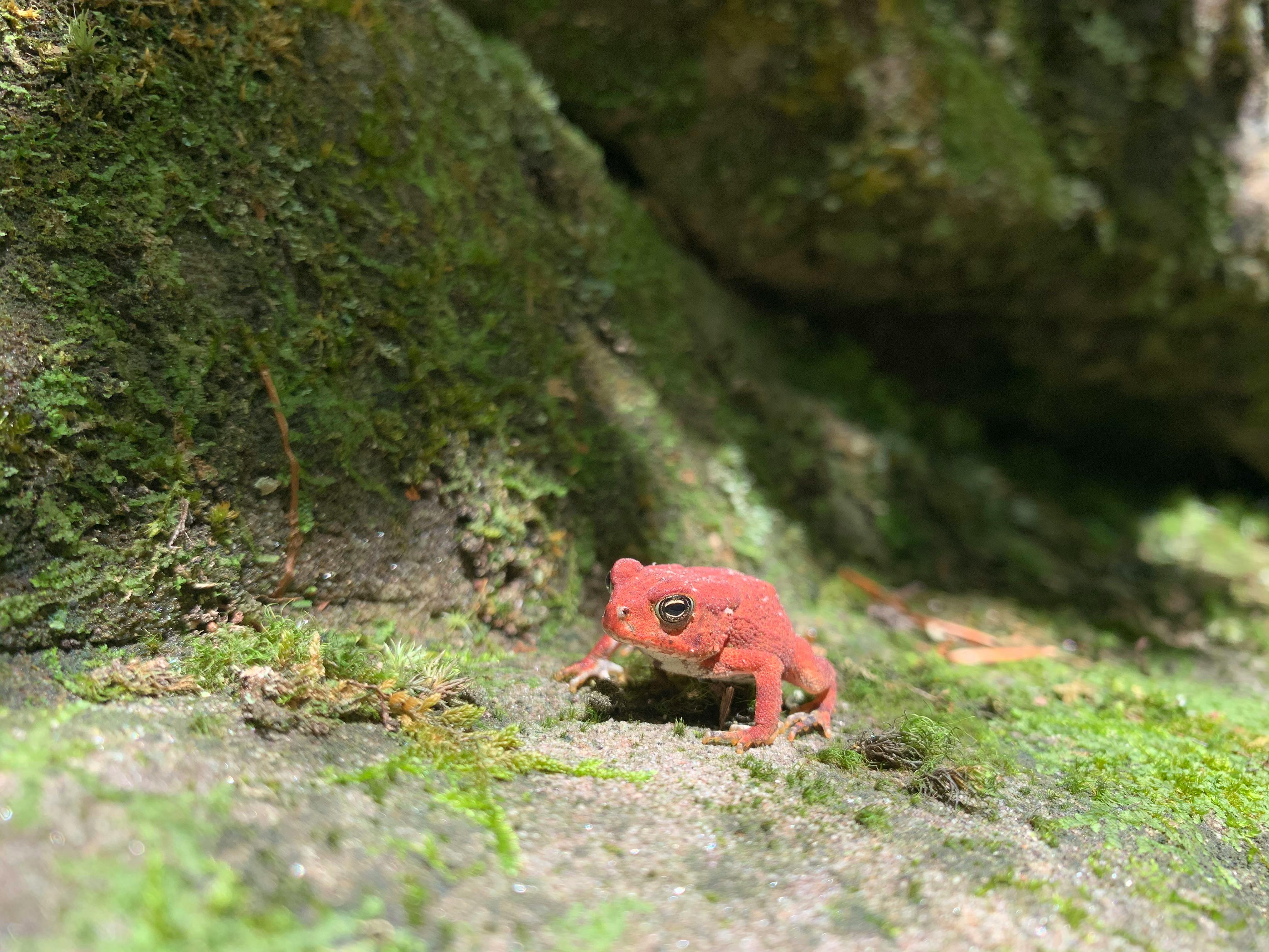 user avatar image for Kayla Wilson