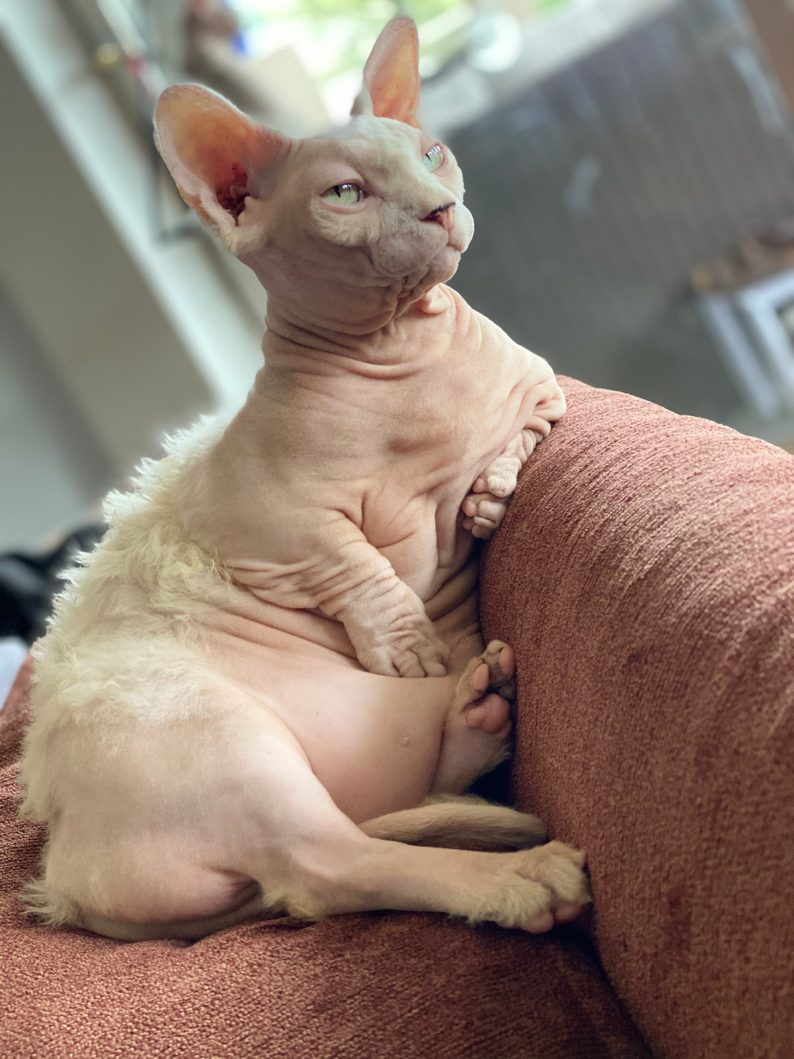 user avatar image for Sina Blaiweiss