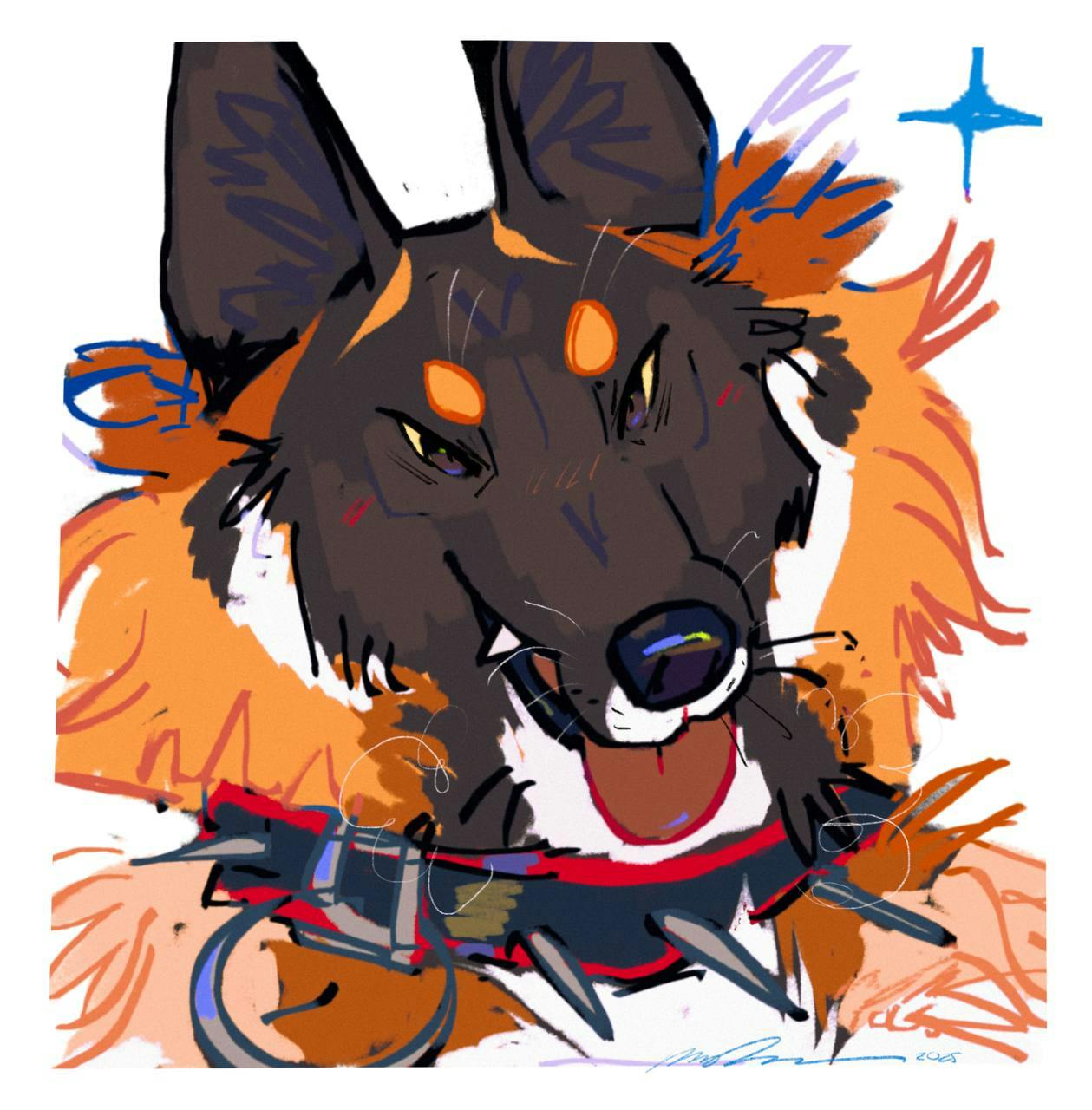 user avatar image for Kajcoydog