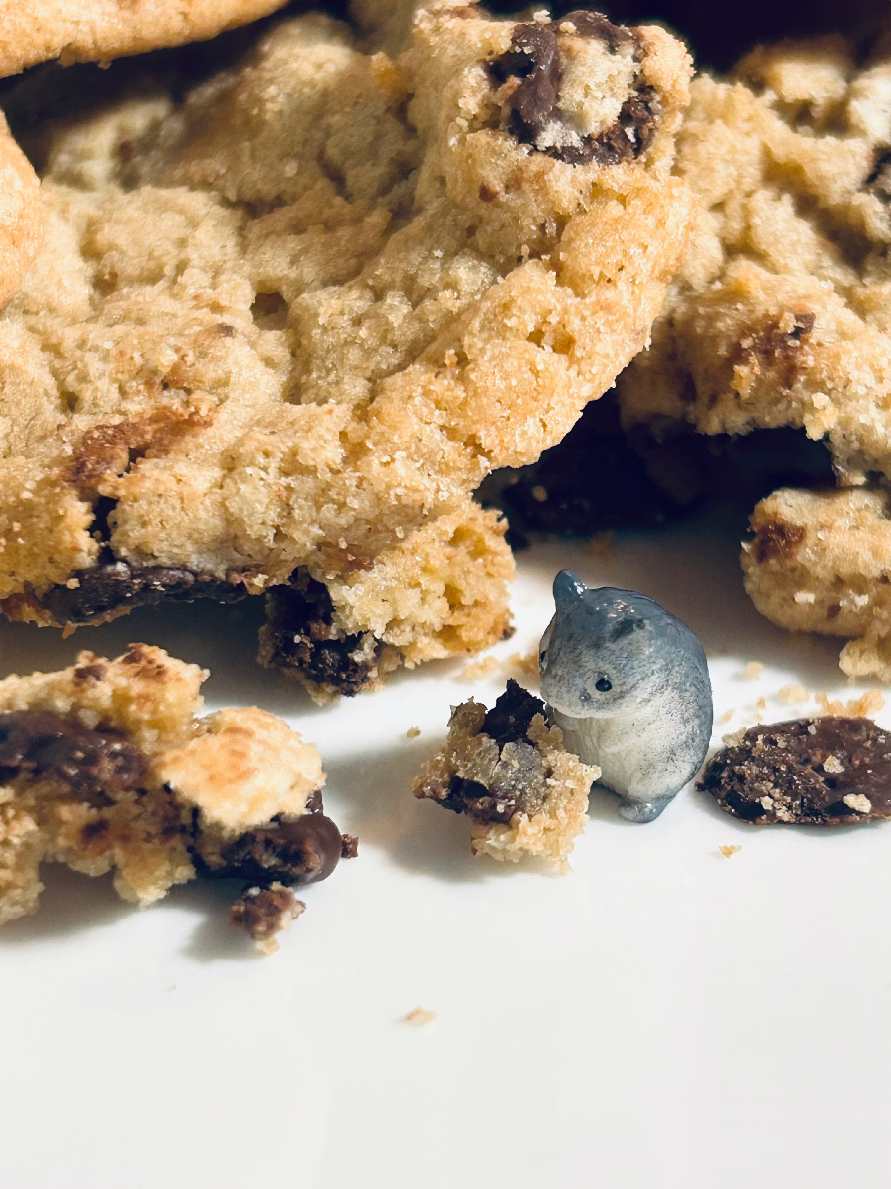 user avatar image for Katie Fouks