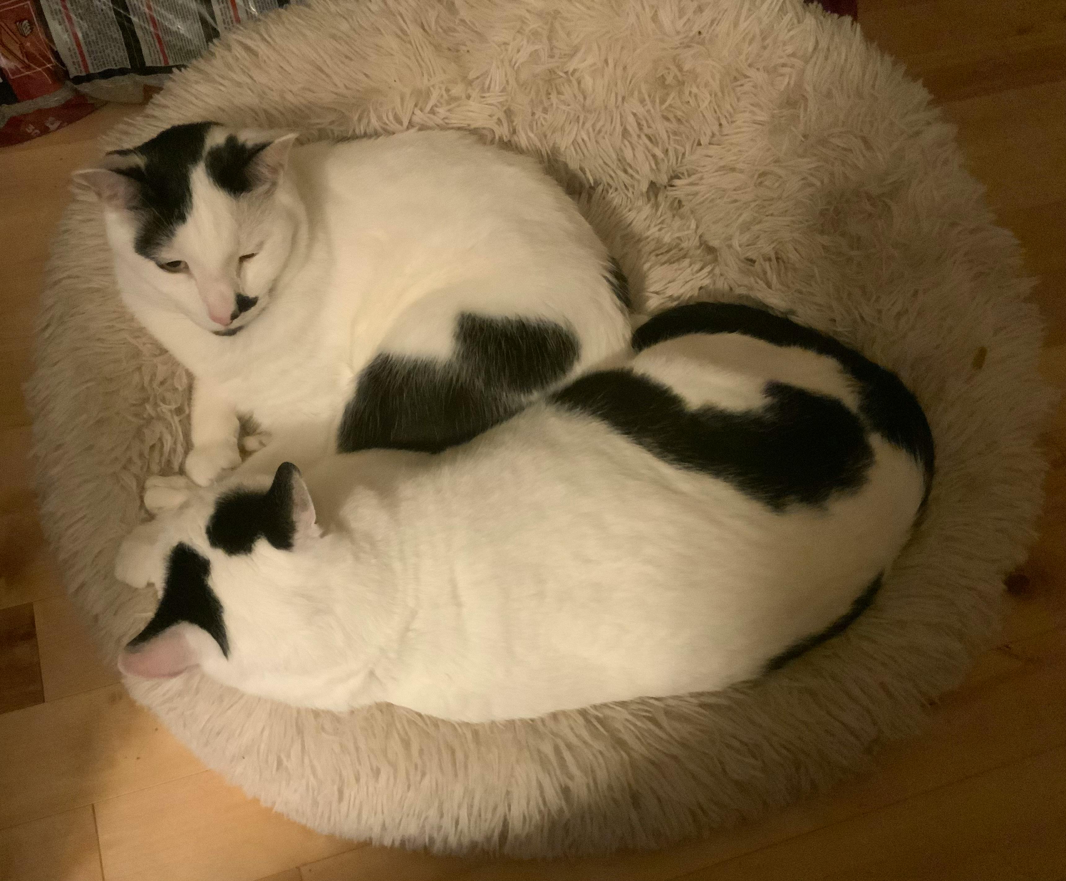 user avatar image for Elspeth Read