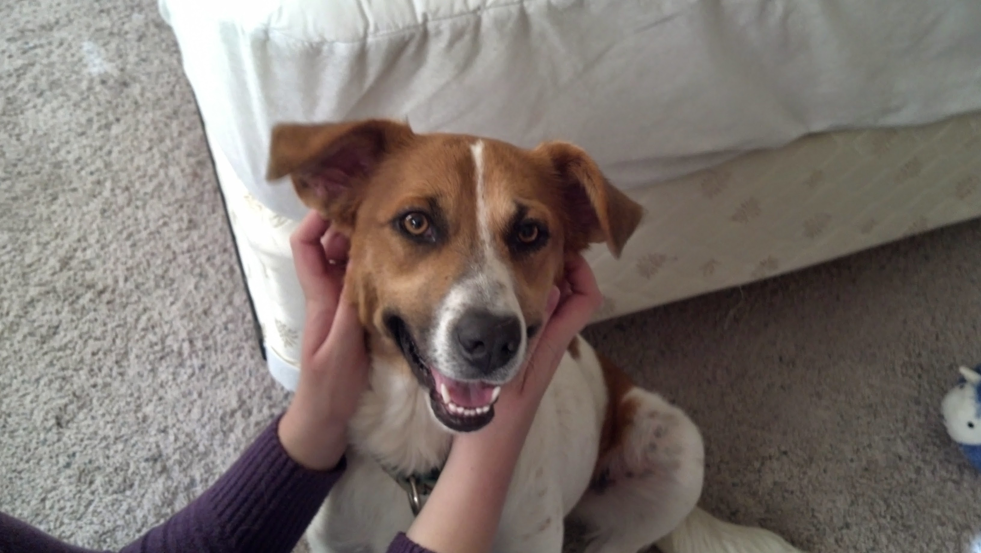 user avatar image for Meagan