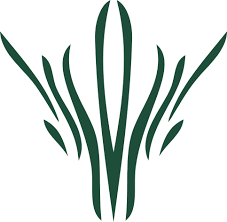 user avatar image for Tavar_Edgedancer