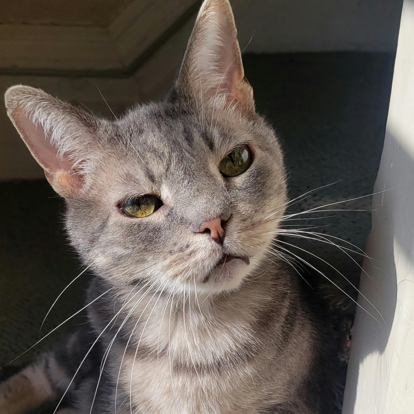 user avatar image for Tess