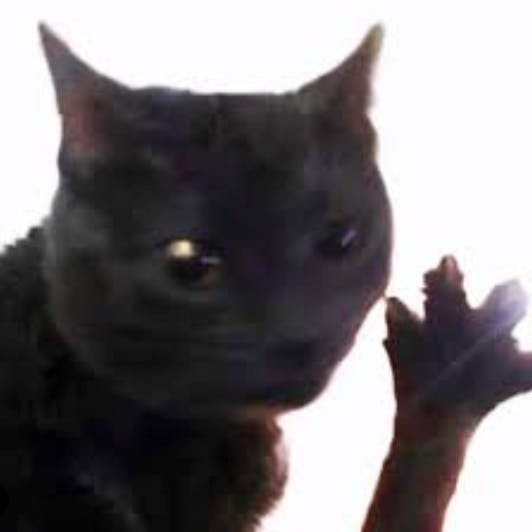 user avatar image for Kristin