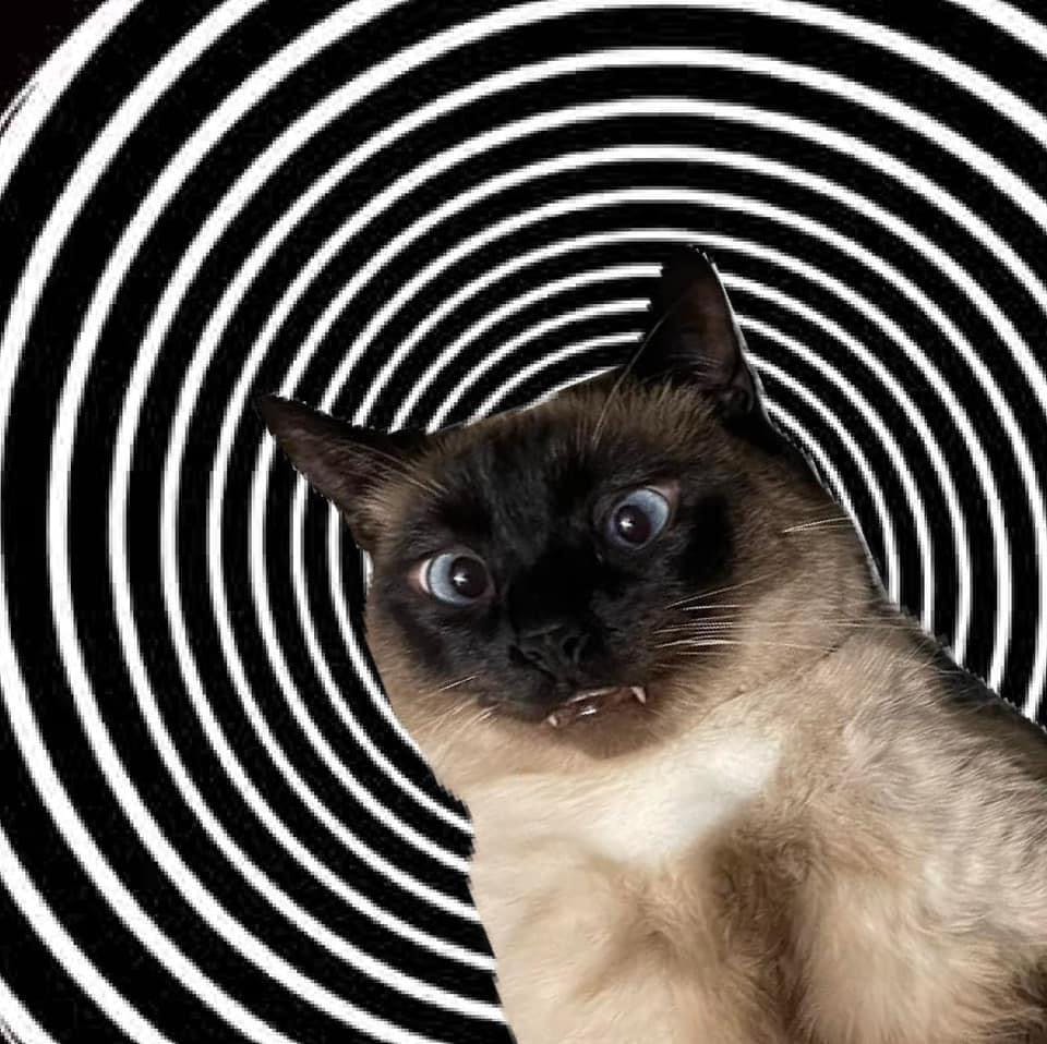 user avatar image for suchatnoir