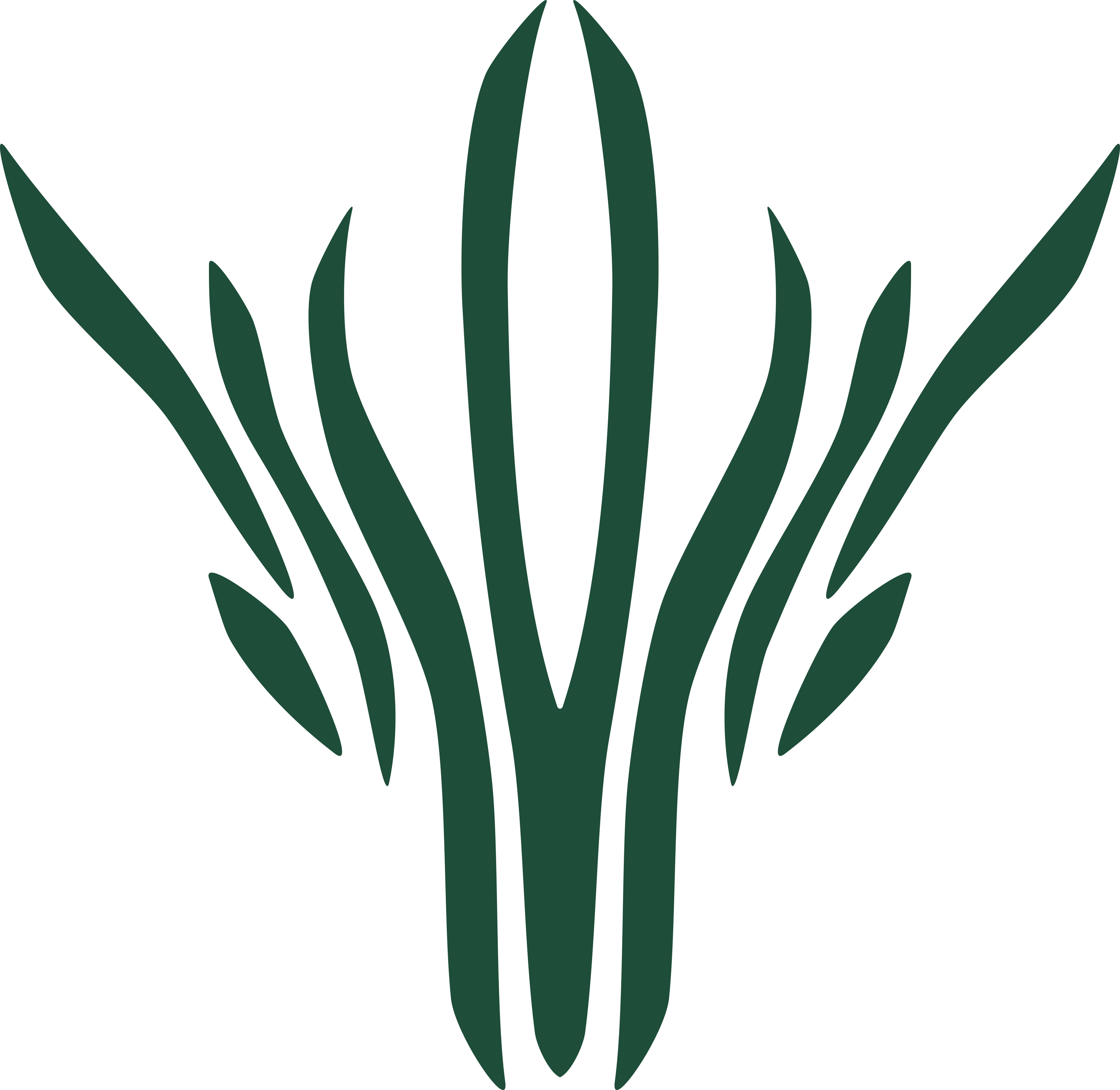 user avatar image for Sam Lawson