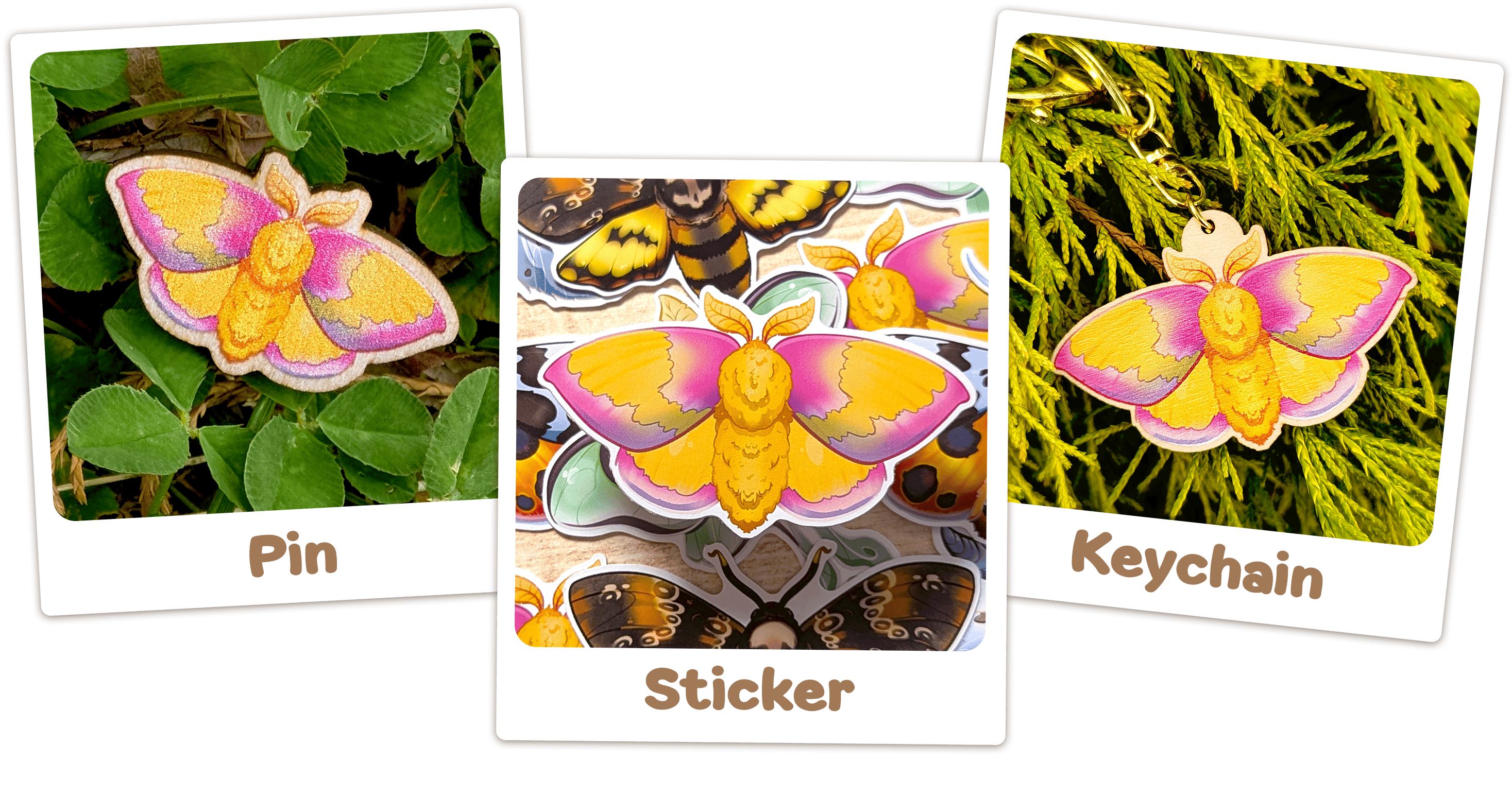 🌙 Matching Moths - Rosy Maple 🌙