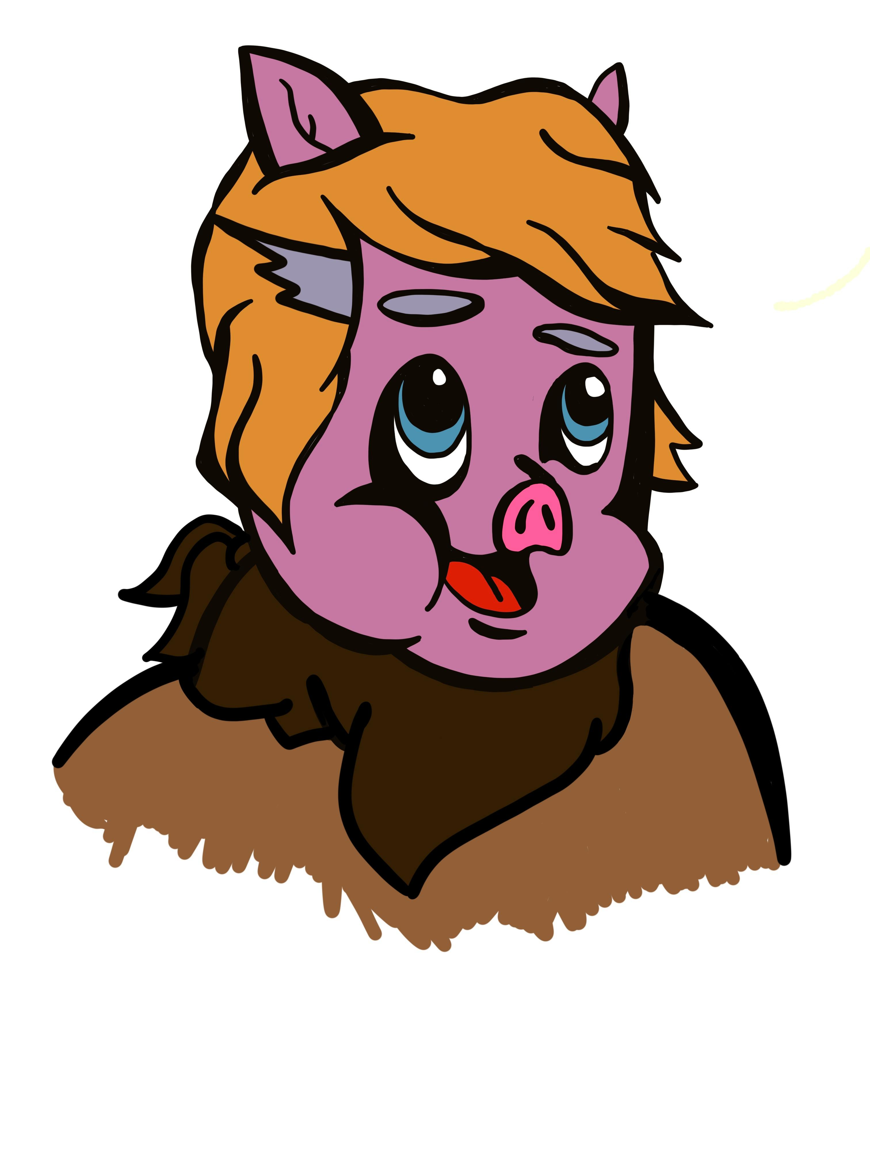 user avatar image for Shane 