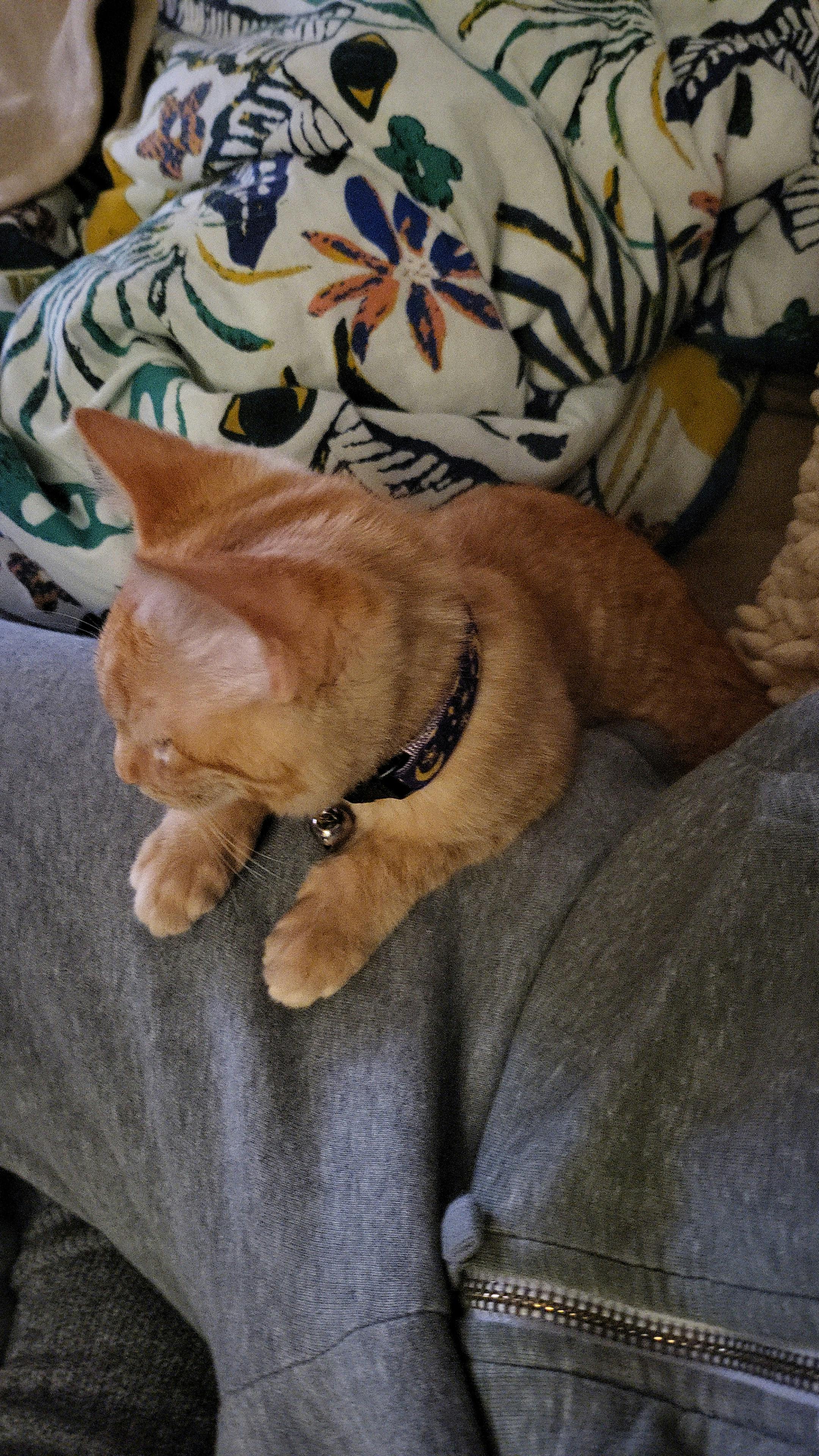 user avatar image for Aaun