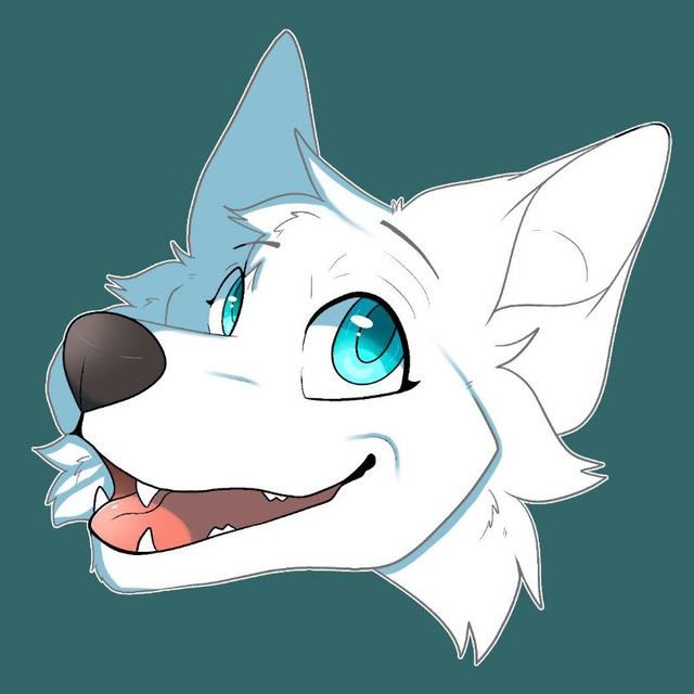 user avatar image for Nevask