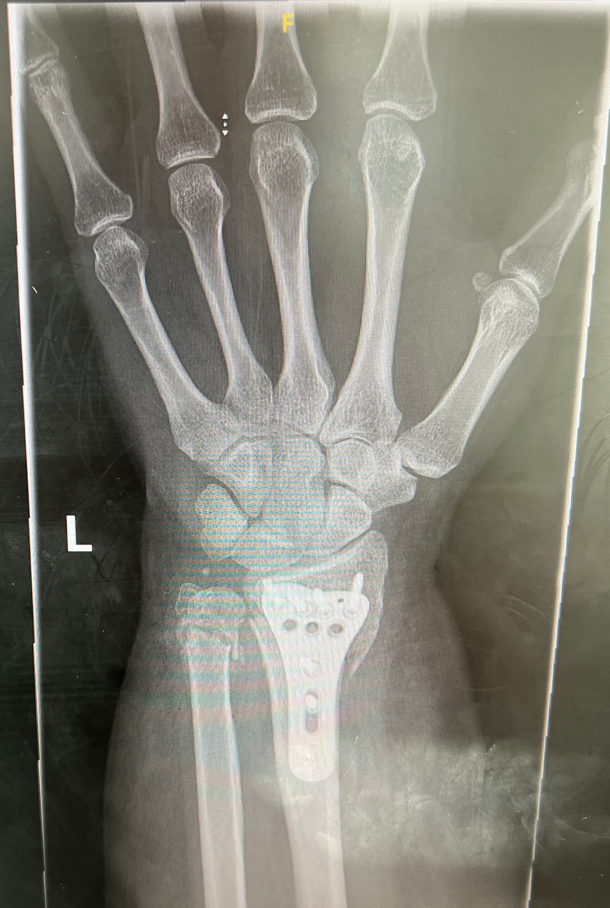 user avatar image for Carrie Green