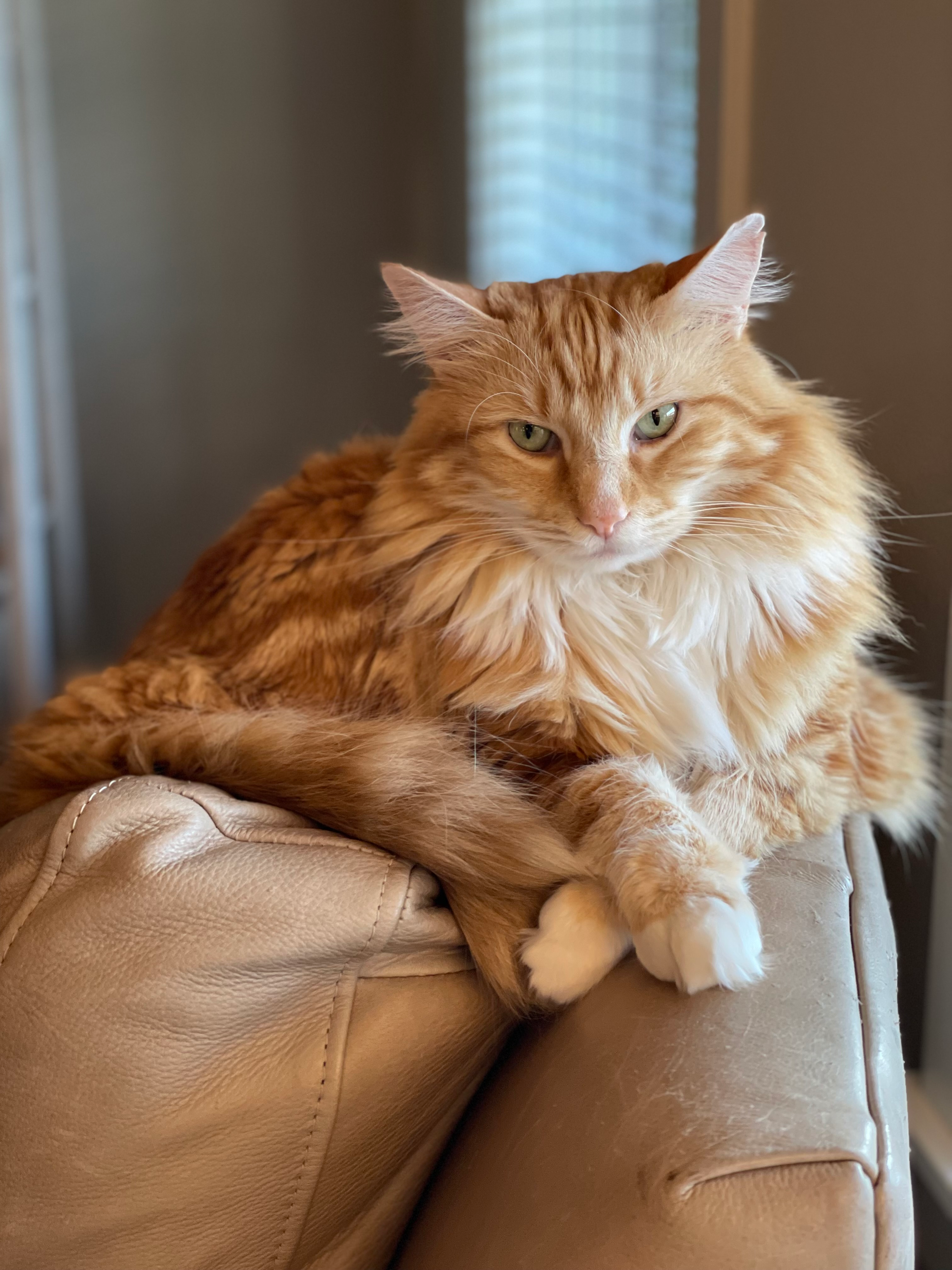 user avatar image for Ian Harwood