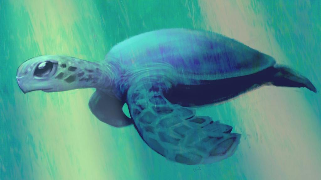 Barracuda Bay: A marine biology mystery-heist