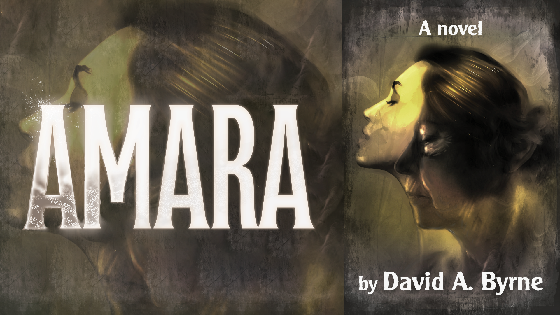 Get Ready for Amara - a hardcover family drama + horror novel