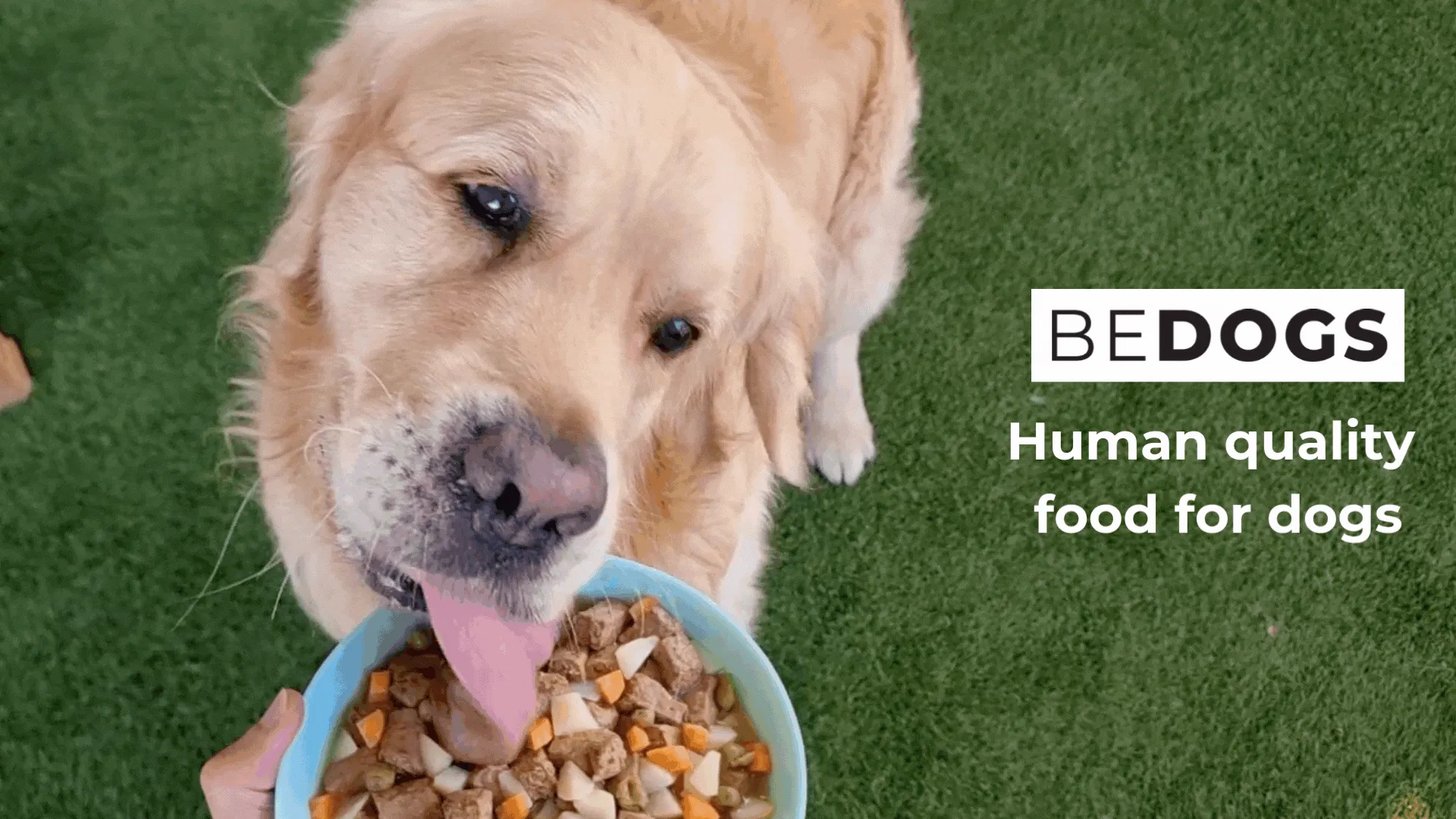 Get Ready for Human quality food for dogs
