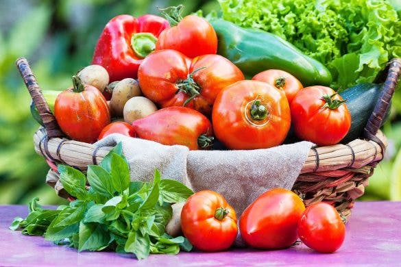 Get Ready for Fruits and Vegetables production