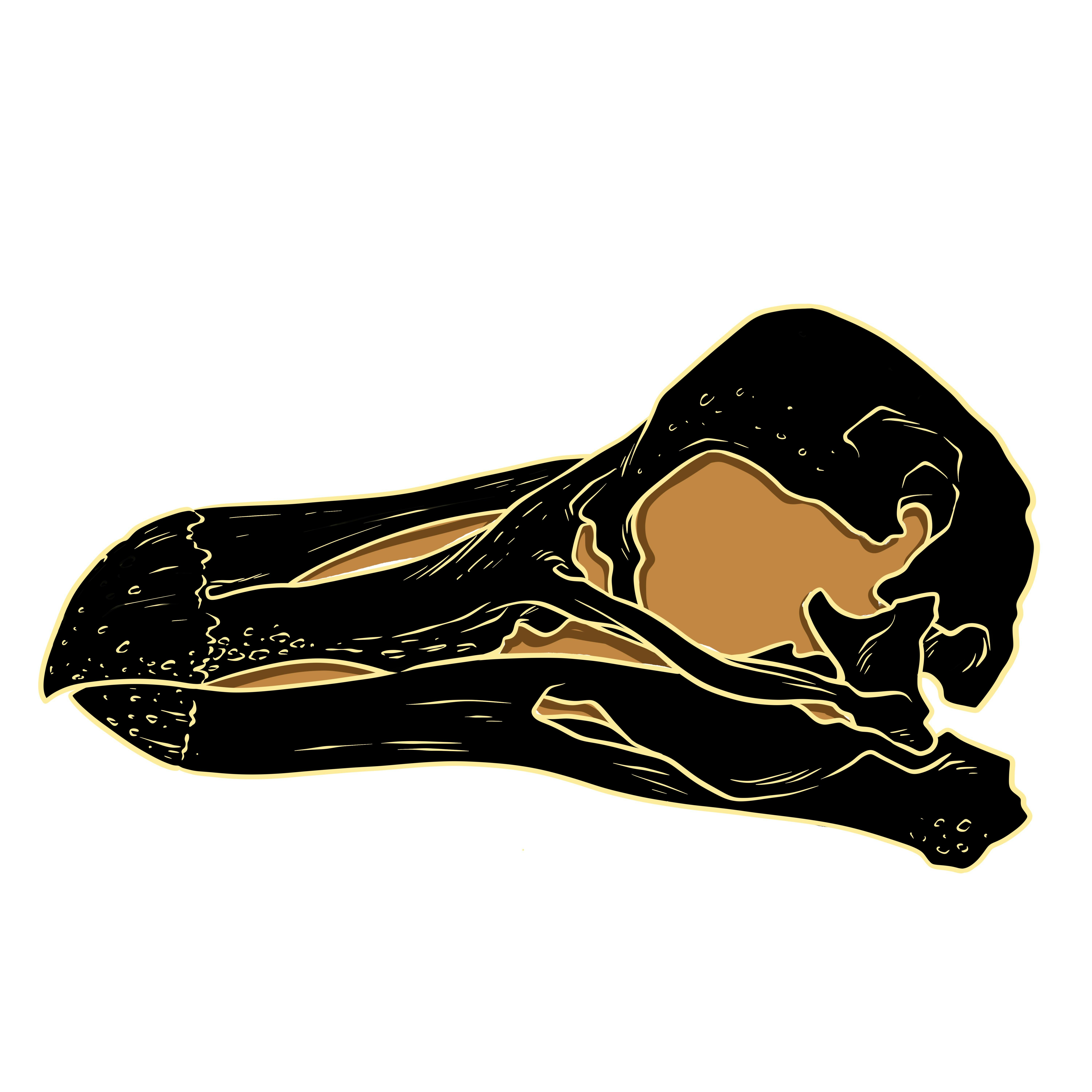 Get Ready for Pleistocene Expansion Paleo Press
