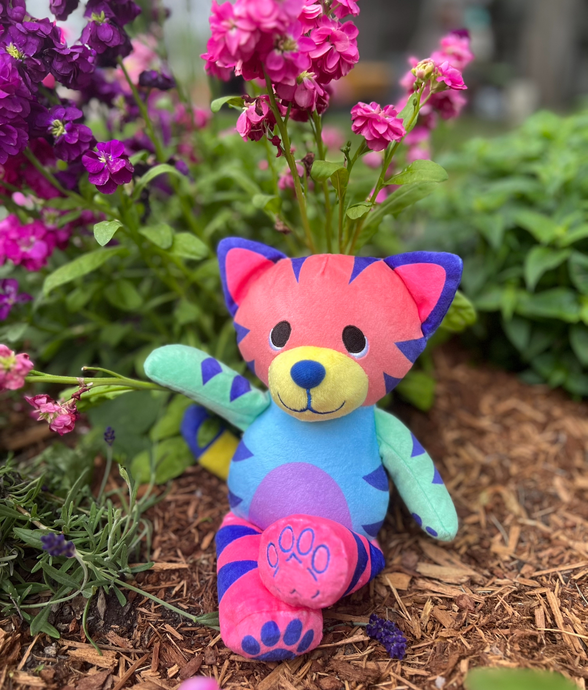 Get Ready for Patchy Pets - Colorful Plush Fellas