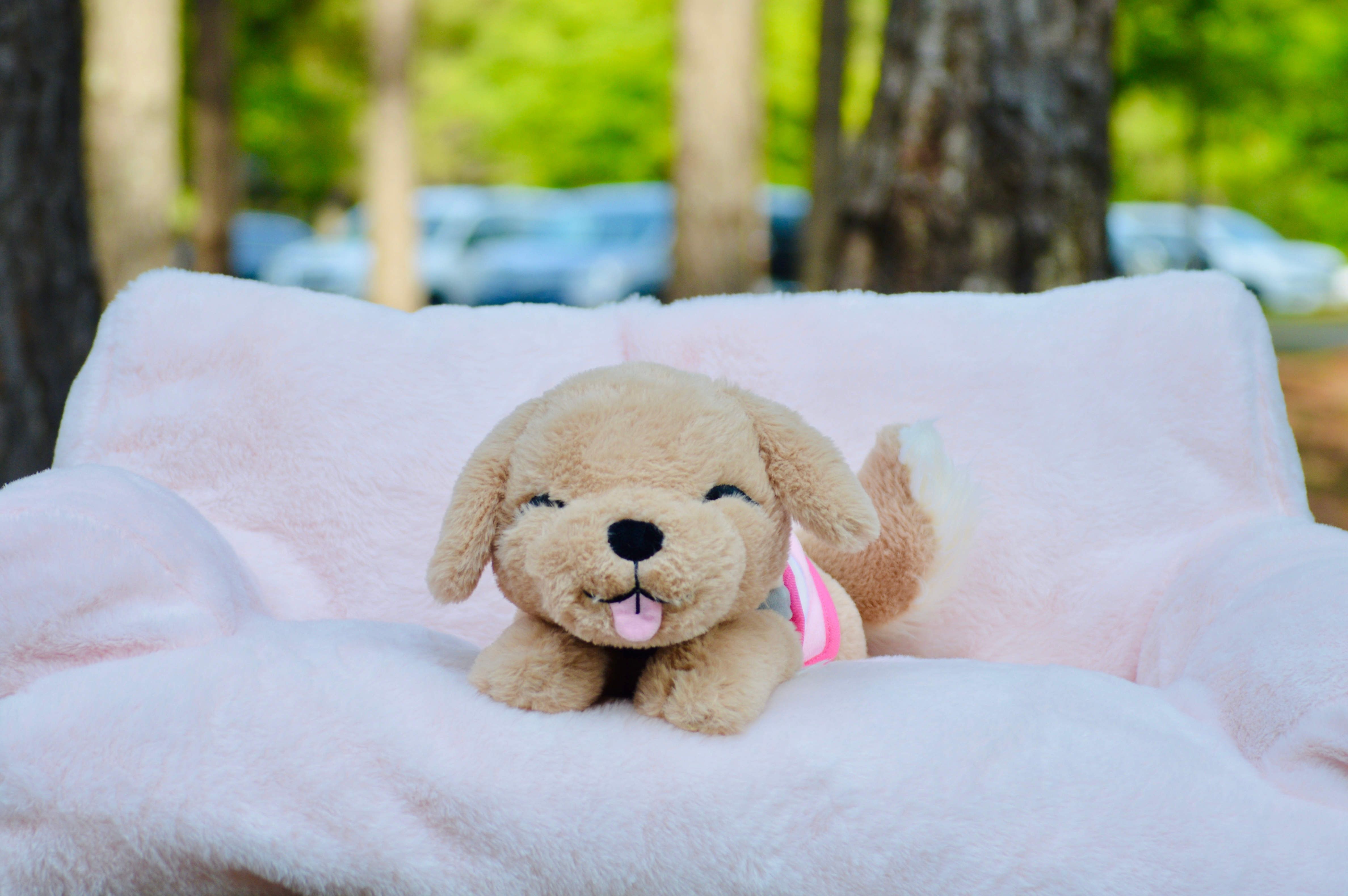 Get Ready for Sleepy Service Puppies- Weighted and Warmable Plushies