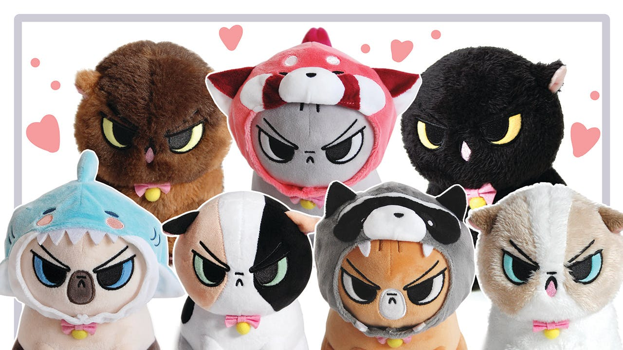 Get Ready for Angry Cat's Angry Holiday 2026!