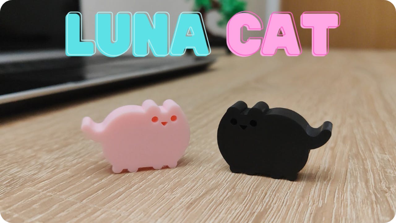 Get Ready for Luna Cat: Webcam Cover