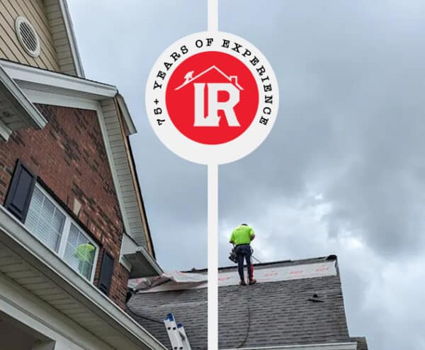 Defending Your Home Against Pest Infestations Caused by Poor Drainage